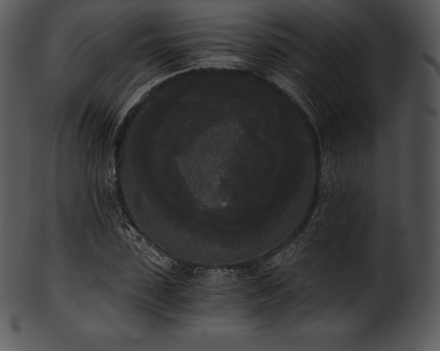 X0000101460923200807141303