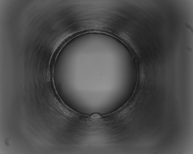 X0000101460924200807141303