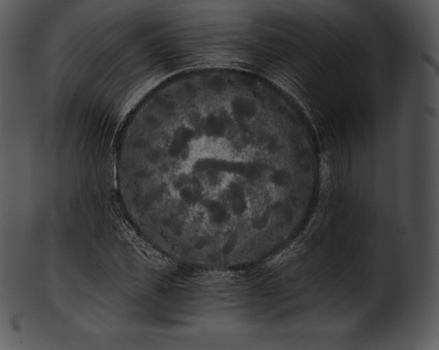 X0000101460925200807141303
