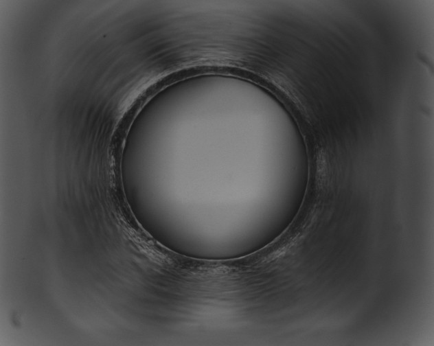 X0000101460926200807141303