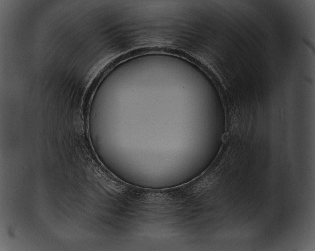 X0000101460927200807141303