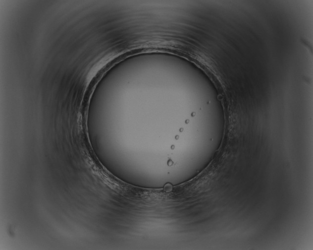 X0000101460928200807141303