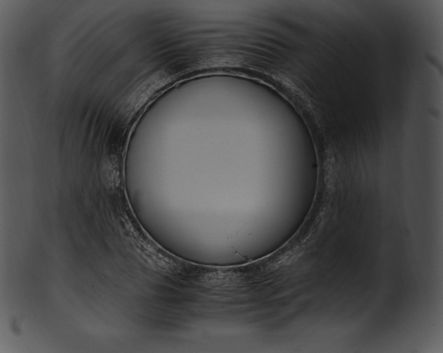 X0000101460929200807141303