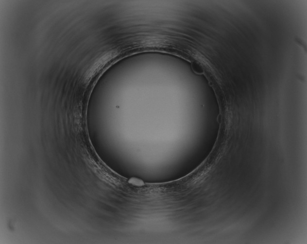 X0000101460930200807141303