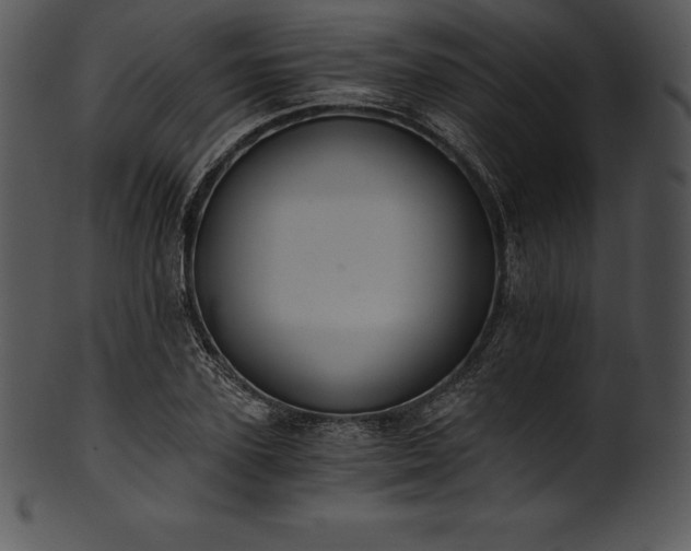 X0000101460931200807141303