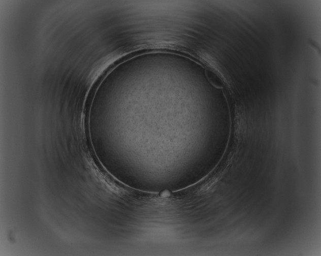 X0000101460932200807141303