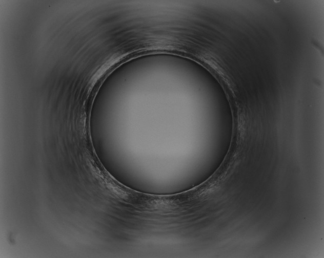 X0000101460933200807141303