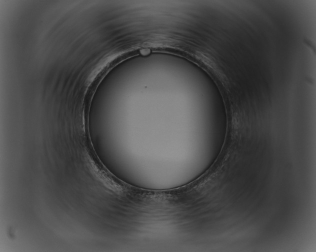 X0000101460934200807141303