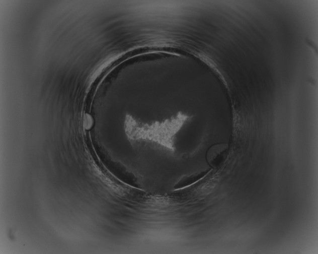 X0000101460935200807141303
