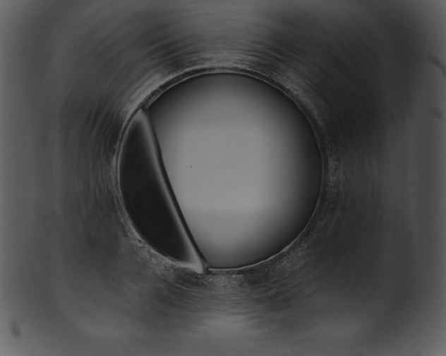X0000101460936200807141303