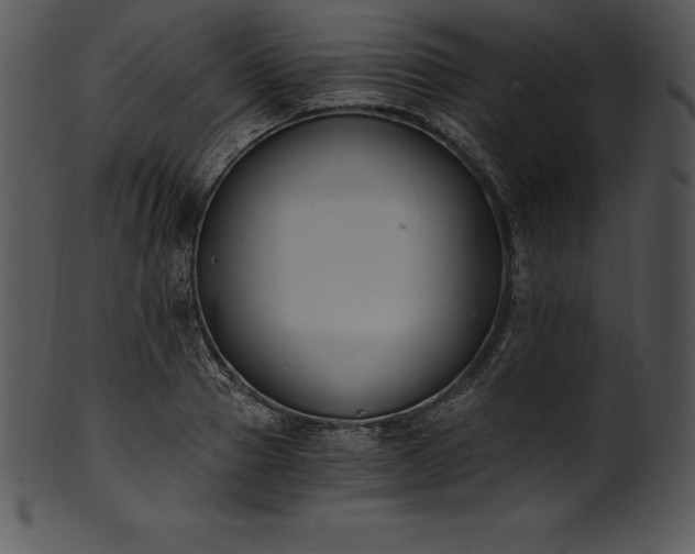 X0000101460937200807141303