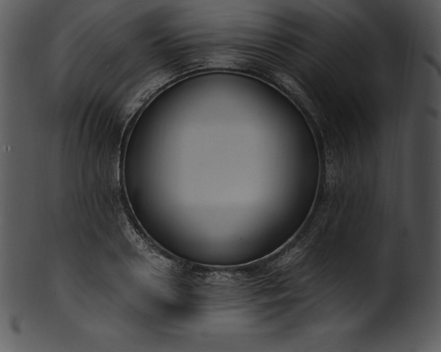 X0000101460938200807141303