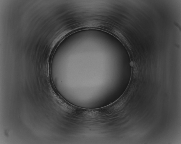 X0000101460939200807141304