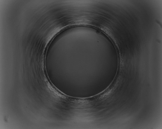 X0000101460941200807141304