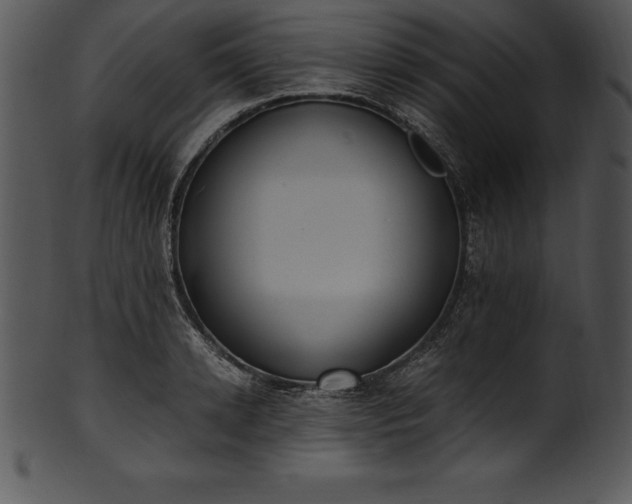 X0000101460942200807141304