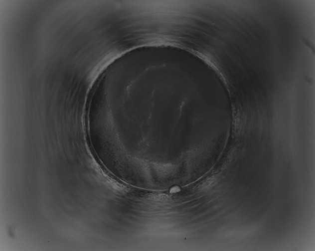 X0000101460943200807141304