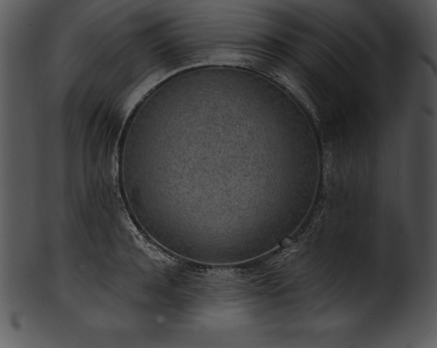 X0000101460944200807141304
