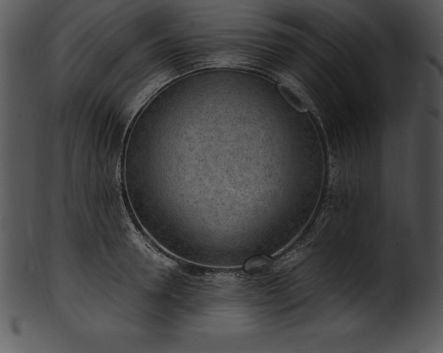 X0000101460946200807141304
