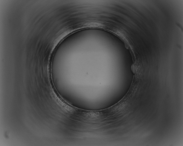 X0000101460947200807141304