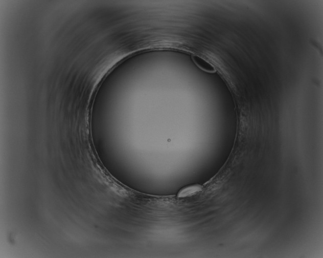 X0000101460948200807141304