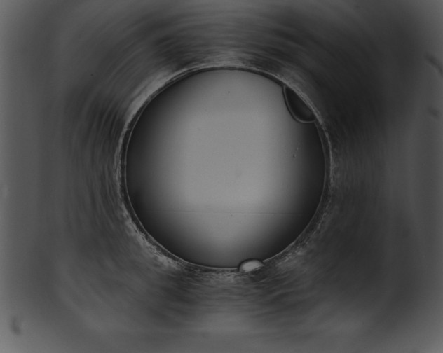 X0000101460949200807141304