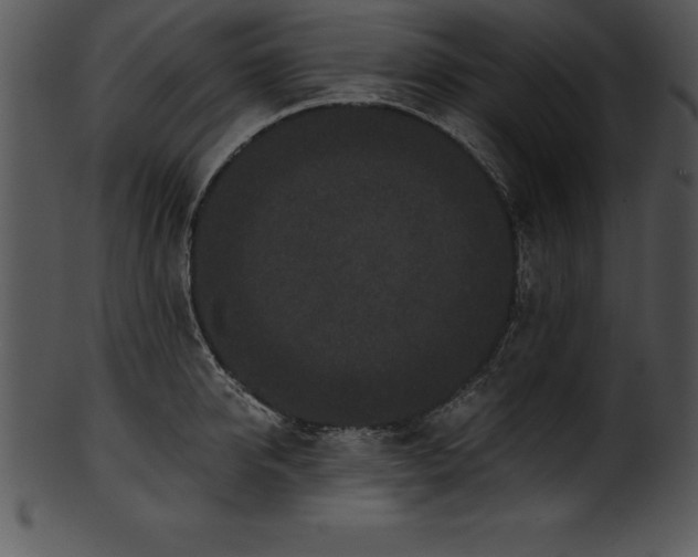 X0000101460950200807141304