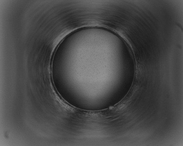X0000101460951200807141304