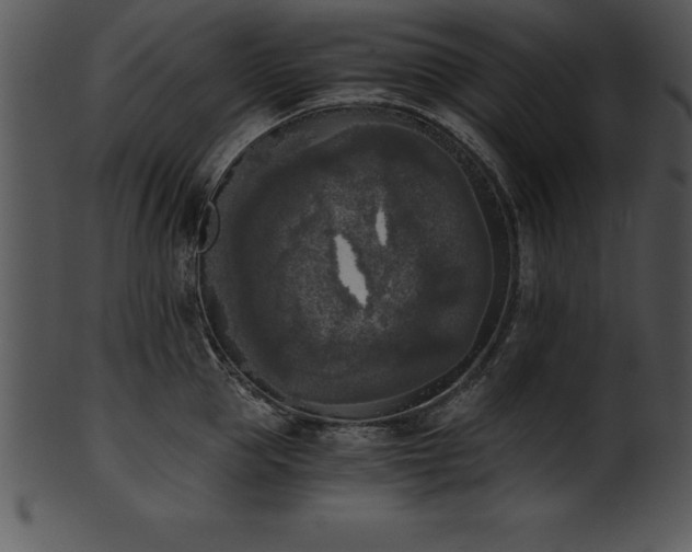 X0000101460953200807141304