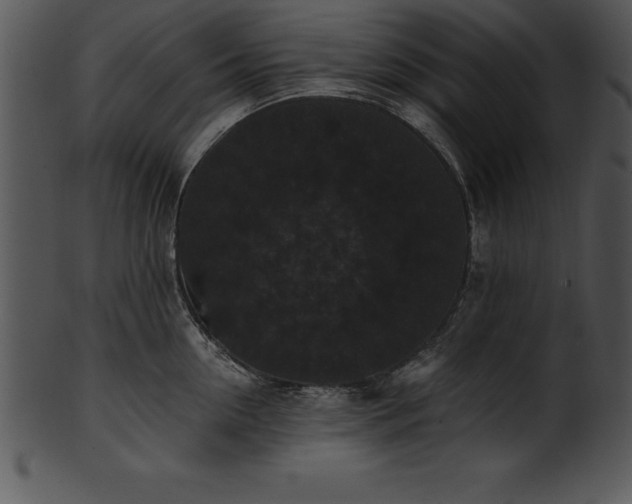 X0000101460954200807141304