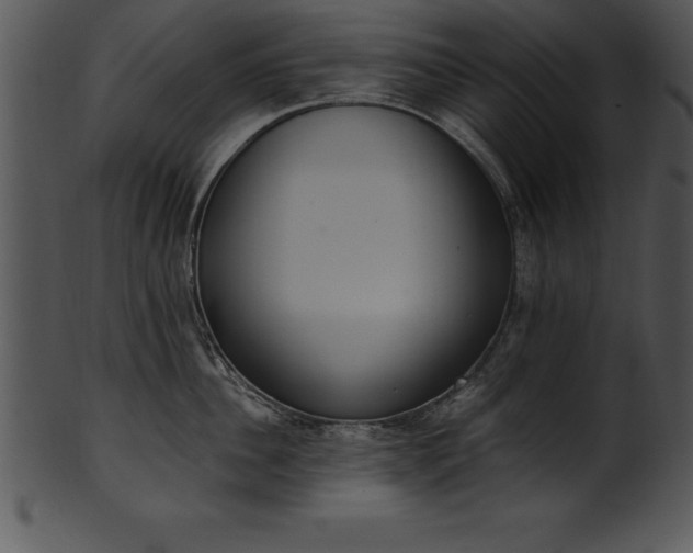 X0000101460956200807141304
