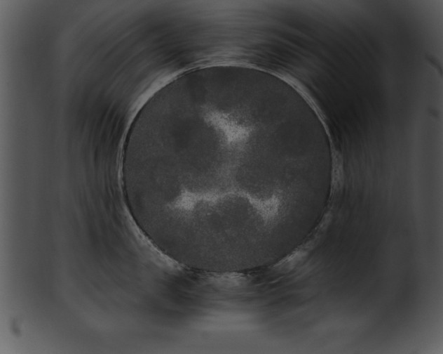 X0000101460957200807141304