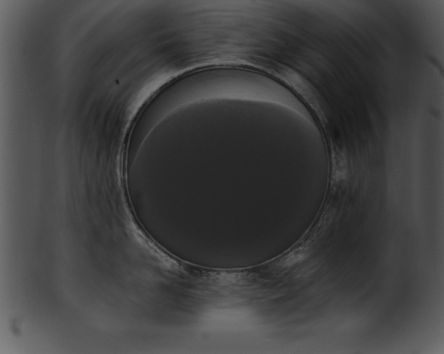 X0000101460958200807141304