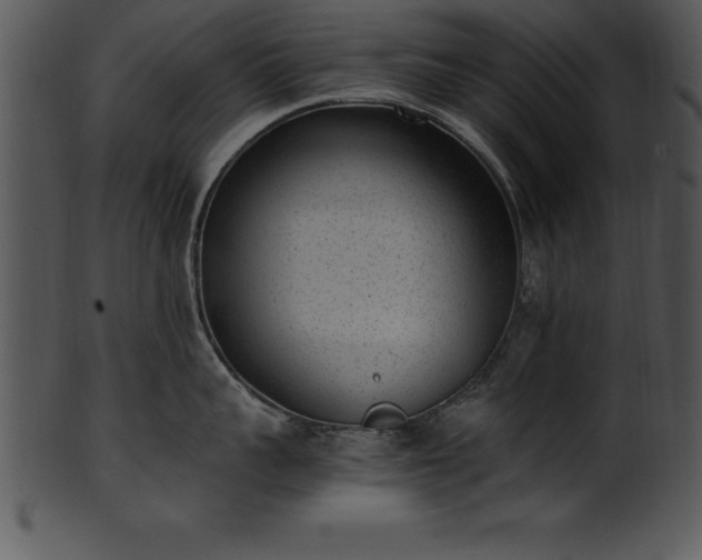 X0000101460959200807141304