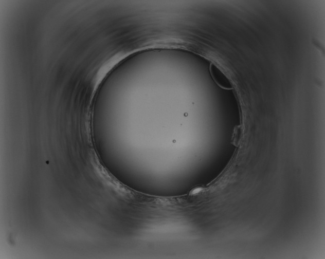 X0000101460960200807141304