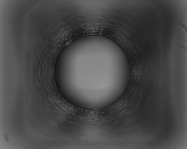 X0000101460961200807141303