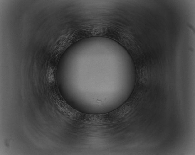 X0000101460962200807141303