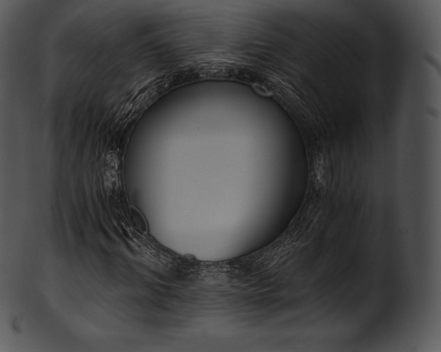 X0000101460964200807141303