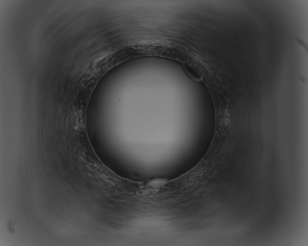 X0000101460965200807141303