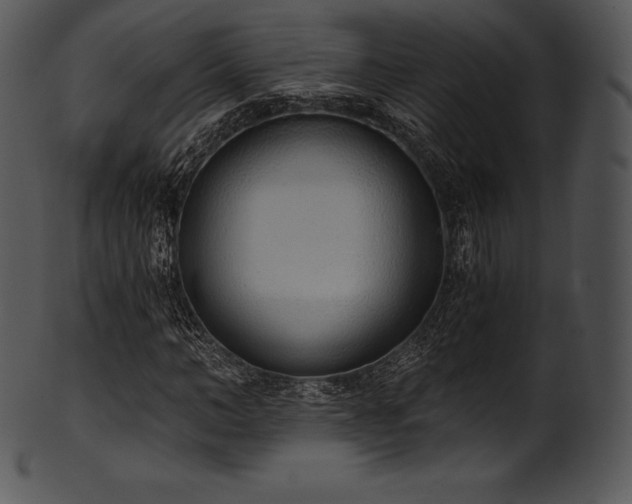 X0000101460966200807141303