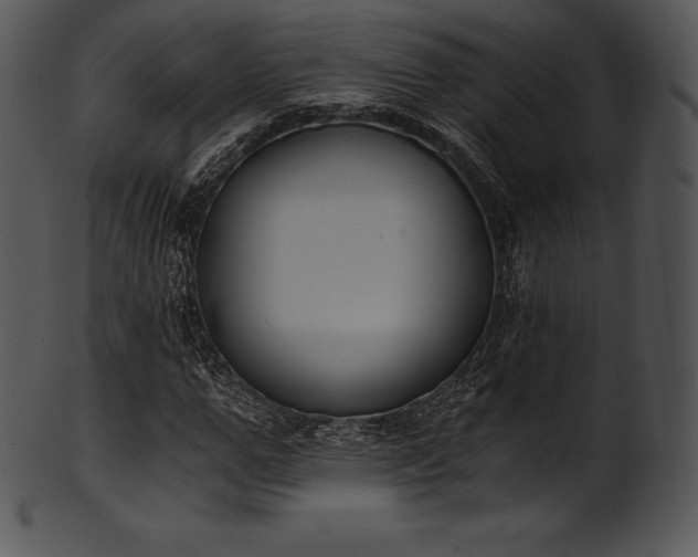 X0000101460967200807141303