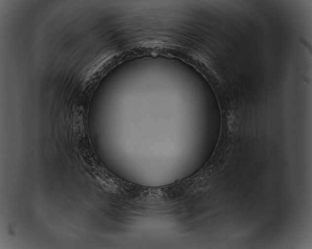 X0000101460968200807141303