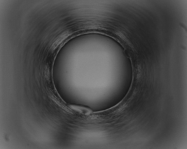 X0000101460969200807141303