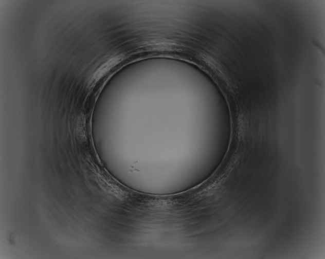 X0000101460970200807141303