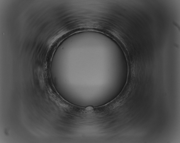 X0000101460971200807141303