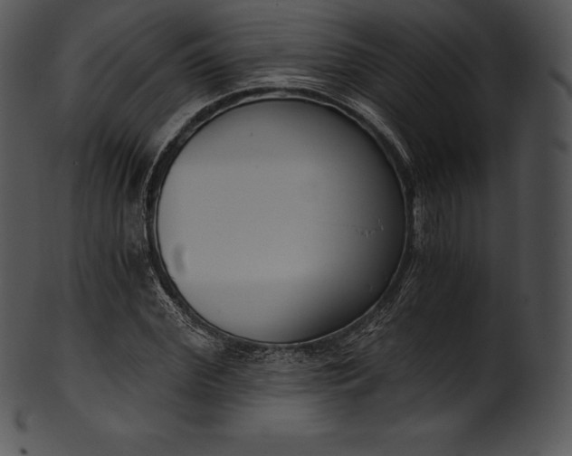 X0000101460972200807141303