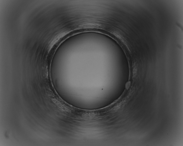 X0000101460973200807141303