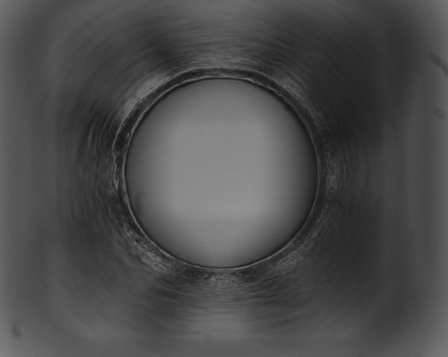 X0000101460974200807141303