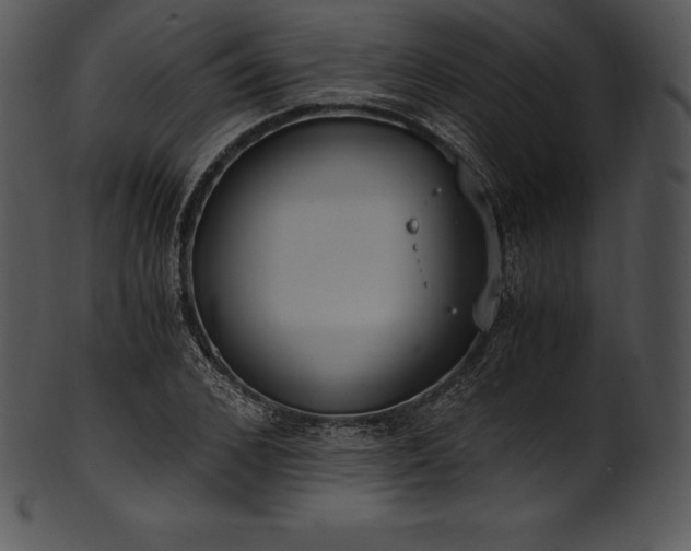 X0000101460976200807141303