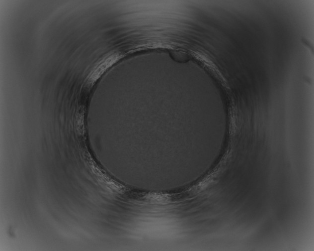 X0000101460977200807141303