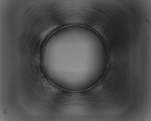 X0000101460979200807141303